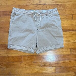 Pacsun Shorts Mens Large Volley Khaki Beige Flat Front Chino Pull On Skate Surf